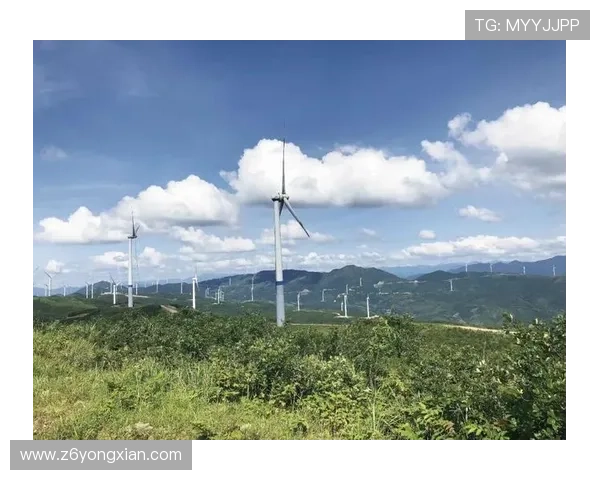 凯时集团企业社会责任履行情况：公益项目、环保措施与社会影响分析