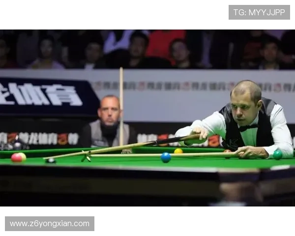 深度解读尊龙体育官方网的体育竞猜策略，提升你的下注技巧与经验