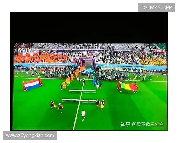 世界杯法国塞内加尔比赛入场时间及门票领取流程全面解析